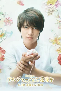 Цветы для Элджернона