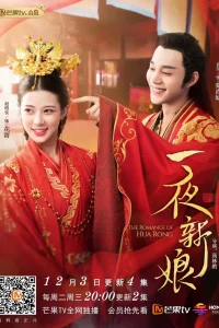 Невеста на одну ночь