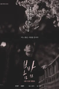 Весенняя ночь